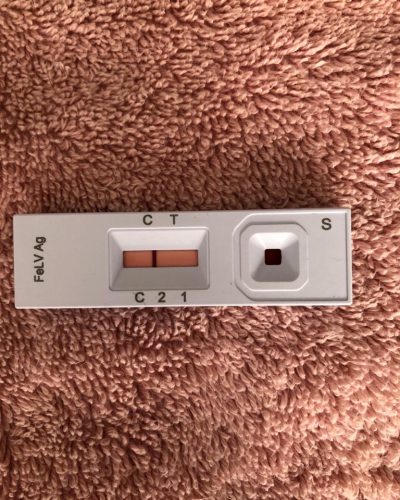 Test de leucemia rápido